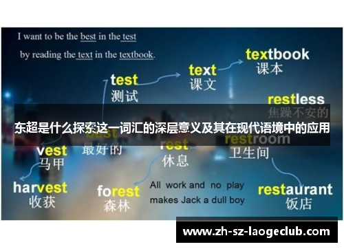 东超是什么探索这一词汇的深层意义及其在现代语境中的应用 东超是什么探索这一词汇的深层意义及其在现代语境中的应用