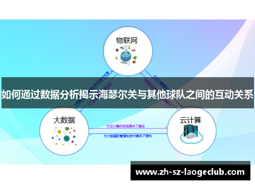 如何通过数据分析揭示海瑟尔关与其他球队之间的互动关系