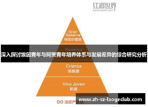 深入探讨埃因青年与阿贾青年培养体系与发展差异的综合研究分析 深入探讨埃因青年与阿贾青年培养体系与发展差异的综合研究分析