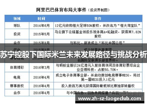 苏宁控股下国际米兰未来发展路径与挑战分析