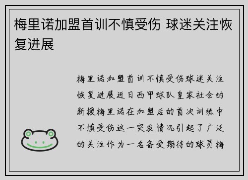 梅里诺加盟首训不慎受伤 球迷关注恢复进展