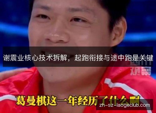谢震业核心技术拆解,起跑衔接与途中跑是关键 谢震业核心技术拆解,起跑衔接与途中跑是关键
