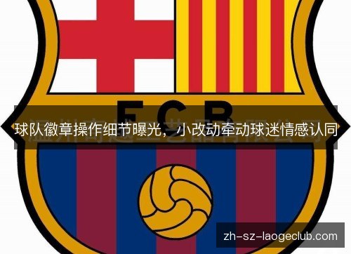 球队徽章操作细节曝光，小改动牵动球迷情感认同