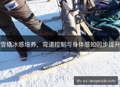 雪橇冰感培养,弯道控制与身体感知同步提升 雪橇冰感培养,弯道控制与身体感知同步提升